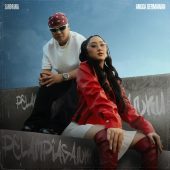 Sandrina Angga Dermawan Pelampiasanku Artwork Cover